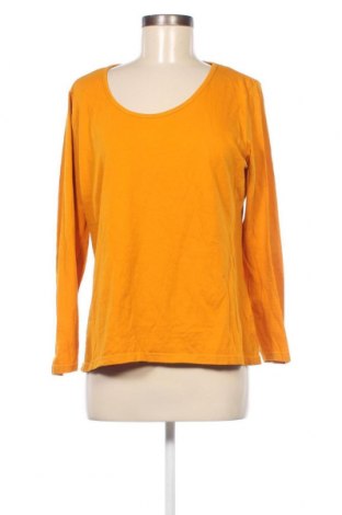 Γυναικεία μπλούζα Janina, Μέγεθος XL, Χρώμα Κίτρινο, Τιμή 3,64 €
