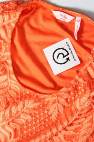Γυναικεία μπλούζα Millers, Μέγεθος 3XL, Χρώμα Πορτοκαλί, Τιμή 7,17 €