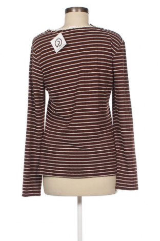 Γυναικεία μπλούζα Naf Naf, Μέγεθος XL, Χρώμα Καφέ, Τιμή 5,20 €