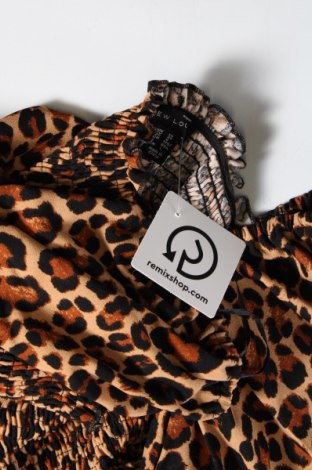 Γυναικεία μπλούζα New Look, Μέγεθος M, Χρώμα Πολύχρωμο, Τιμή 1,73 €