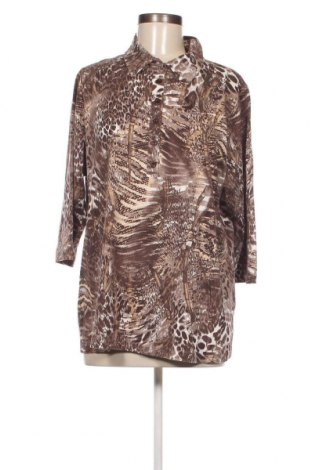 Γυναικεία μπλούζα Pure Wear, Μέγεθος XL, Χρώμα Πολύχρωμο, Τιμή 2,60 €