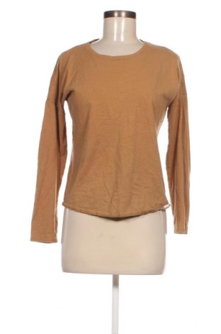 Γυναικεία μπλούζα SKNB, Μέγεθος S, Χρώμα Καφέ, Τιμή 1,61 €