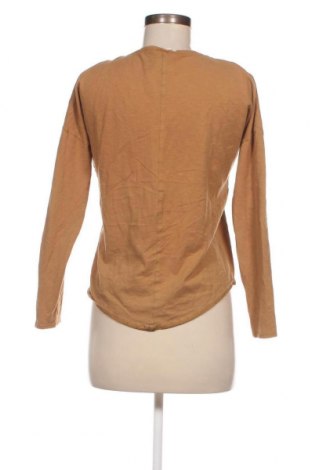 Γυναικεία μπλούζα SKNB, Μέγεθος S, Χρώμα Καφέ, Τιμή 1,61 €