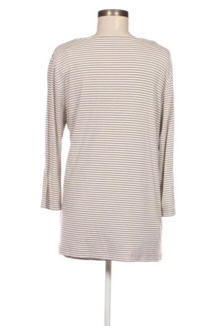 Γυναικεία μπλούζα Stooker, Μέγεθος XL, Χρώμα Πολύχρωμο, Τιμή 11,75 €