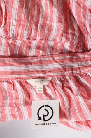 Damen Shirt Terra & Sky, Größe 3XL, Farbe Mehrfarbig, Preis 13,22 €