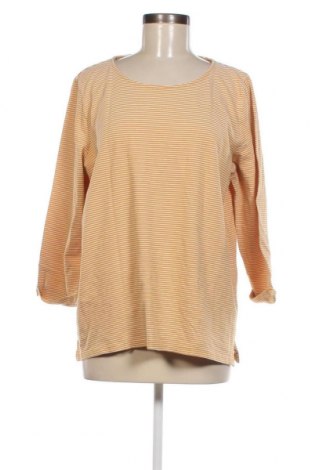 Γυναικεία μπλούζα Tom Tailor, Μέγεθος XXL, Χρώμα Πολύχρωμο, Τιμή 12,62 €