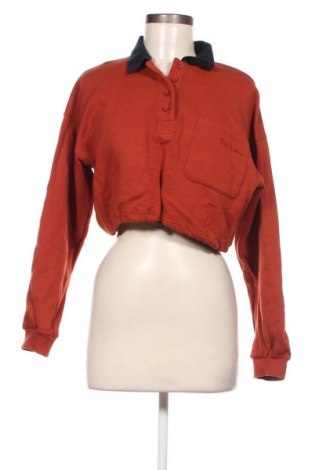 Damen Shirt Urban Outfitters, Größe S, Farbe Braun, Preis 5,89 €