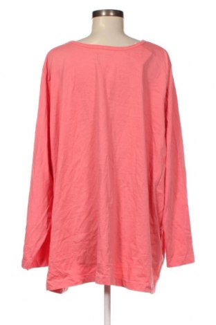 Γυναικεία μπλούζα Woman Within, Μέγεθος 4XL, Χρώμα Πορτοκαλί, Τιμή 11,40 €