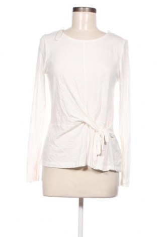 Γυναικεία μπλούζα Zero, Μέγεθος M, Χρώμα Εκρού, Τιμή 5,16 €
