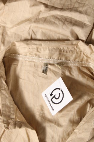 Γυναικείο πουκάμισο, Μέγεθος 3XL, Χρώμα  Μπέζ, Τιμή 8,35 €