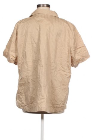 Dámska košeľa , Veľkosť 3XL, Farba Béžová, Cena  7,66 €