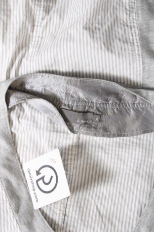 Γυναικείο πουκάμισο C.A.R.O, Μέγεθος XL, Χρώμα Πολύχρωμο, Τιμή 5,31 €