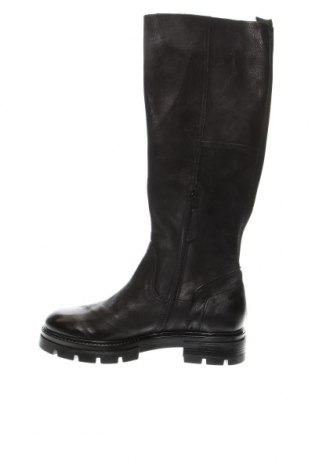 Γυναικείες μπότες MJUS, Μέγεθος 41, Χρώμα Μαύρο, Τιμή 151,03 €