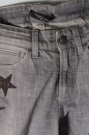 Damen Jeans Cambio, Größe XS, Farbe Grau, Preis 5,64 €