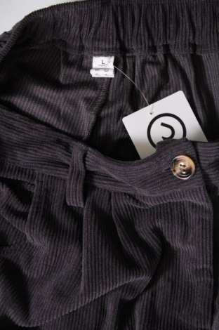 Pantaloni de velvet de femei, Mărime L, Culoare Gri, Preț 21,94 Lei