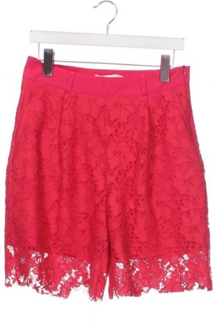Γυναικείο κοντό παντελόνι Bgn Workshop, Μέγεθος M, Χρώμα Ρόζ , Τιμή 7,79 €