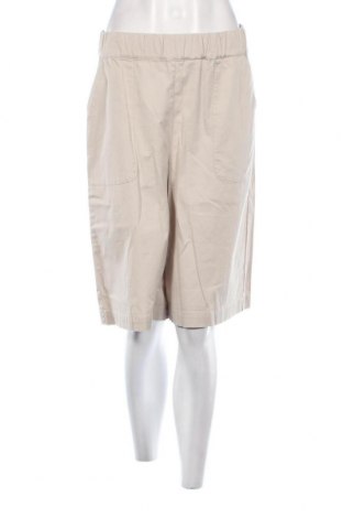 Γυναικείο κοντό παντελόνι Etam, Μέγεθος M, Χρώμα Γκρί, Τιμή 6,31 €