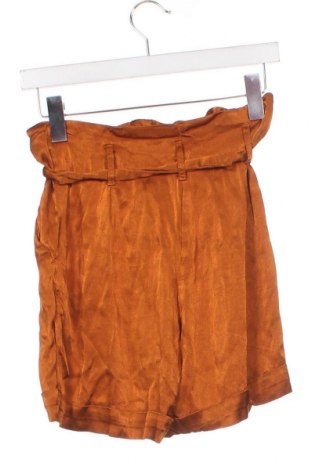 Γυναικείο κοντό παντελόνι Motivi, Μέγεθος XS, Χρώμα Καφέ, Τιμή 15,86 €