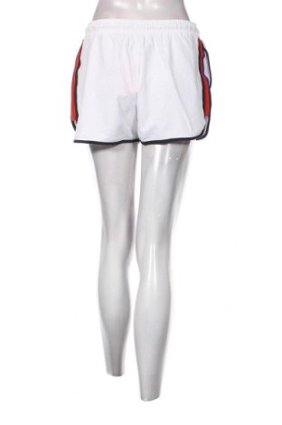 Damen Shorts Superdry, Größe M, Farbe Weiß, Preis € 11,22