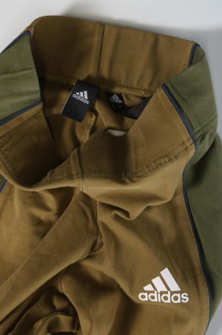 Dámské legíny  Adidas, Velikost XXS, Barva Zelená, Cena  384,00 Kč