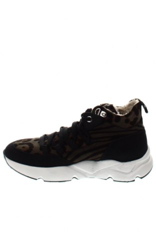 Dámske topánky  Liu Jo, Veľkosť 36, Farba Viacfarebná, Cena  112,37 €