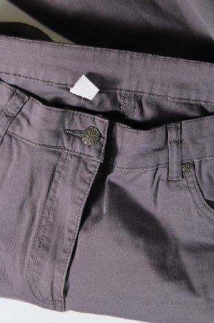 Pantaloni de femei, Mărime XXL, Culoare Gri, Preț 41,02 Lei