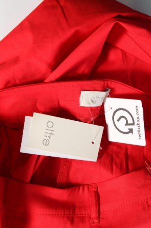 Γυναικείο παντελόνι Oltre, Μέγεθος XL, Χρώμα Κόκκινο, Τιμή 19,57 €