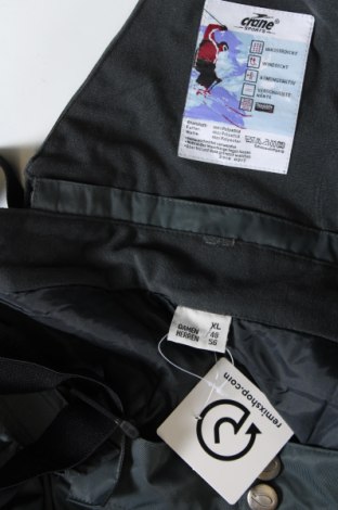 Damenhose für Wintersport Crane, Größe XXL, Farbe Grau, Preis € 23,49