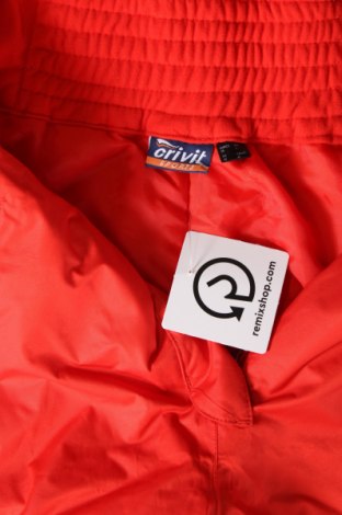 Дамски панталон за зимни спортове Crivit, Размер M, Цвят Червен, Цена 11,25 лв.