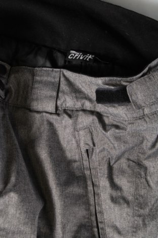 Дамски панталон за зимни спортове Crivit, Размер M, Цвят Сив, Цена 11,25 лв.