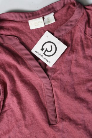 Γυναικείο αμάνικο μπλουζάκι St. Tropez West, Μέγεθος S, Χρώμα Ρόζ , Τιμή 2,80 €