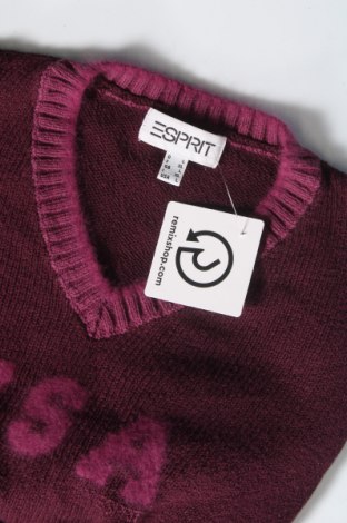 Damski sweter Esprit, Rozmiar L, Kolor Fioletowy, Cena 32,47 zł
