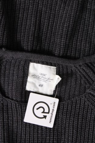 Damenpullover H&M L.O.G.G., Größe XL, Farbe Grau, Preis 9,08 €