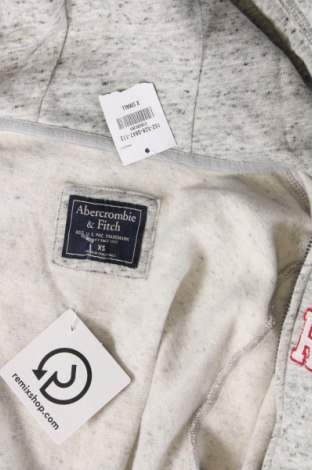 Damen Sweatshirt Abercrombie & Fitch, Größe XS, Farbe Grau, Preis 17,35 €