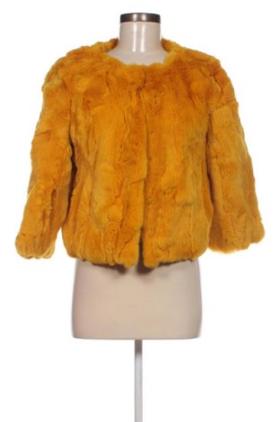 Дамско палто, Размер M, Цвят Жълт, Цена 38,34 лв.