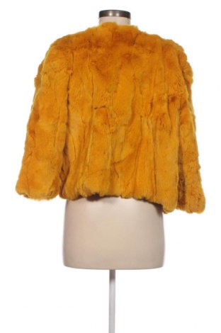 Dámsky kabát , Veľkosť M, Farba Žltá, Cena  32,68 €