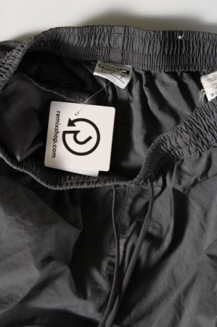 Damen Sporthose PUMA, Größe S, Farbe Grau, Preis 20,18 €