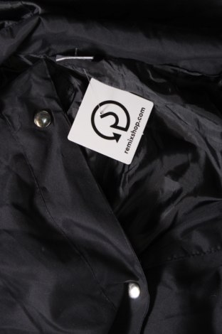 Dámska bunda , Veľkosť XL, Farba Modrá, Cena  4,08 €