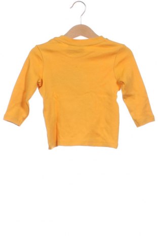 Dziecięca bluzka Batman, Rozmiar 9-12m/ 74-80 cm, Kolor Żółty, Cena 85,29 zł