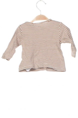 Dziecięca bluzka Staccato, Rozmiar 2-3m/ 56-62 cm, Kolor Kolorowy, Cena 48,28 zł