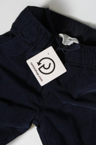 Pantaloni de catifea reiată, pentru copii H&M, Mărime 2-3y/ 98-104 cm, Culoare Albastru, Preț 35,91 Lei