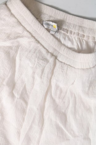 Детски къс панталон Cache Cache, Размер 12-13y/ 158-164 см, Цвят Бял, Цена 7,60 лв.