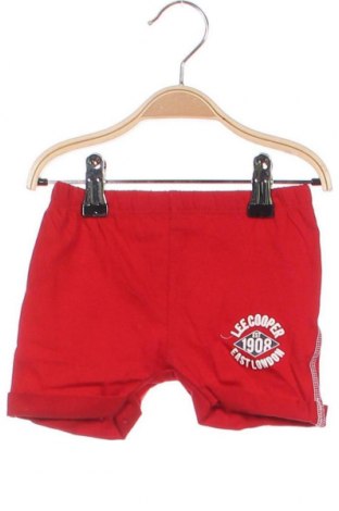 Παιδικό κοντό παντελόνι Lee Cooper, Μέγεθος 6-9m/ 68-74 εκ., Χρώμα Κόκκινο, Τιμή 6,31 €