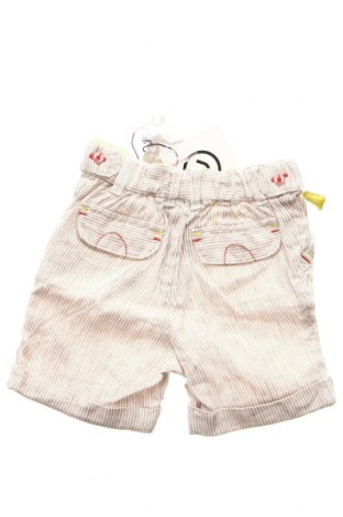 Pantaloni scurți pentru copii Sergent Major, Mărime 6-9m/ 68-74 cm, Culoare Multicolor, Preț 100,00 Lei