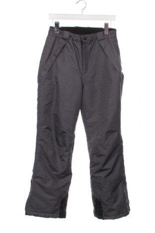 Παιδικό παντελόνι για χειμερινά σπορ Crane, Μέγεθος 12-13y/ 158-164 εκ., Χρώμα Γκρί, Τιμή 7,01 €