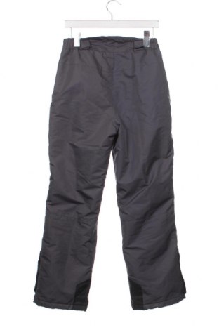 Детски панталон за зимни спортове Crane, Размер 12-13y/ 158-164 см, Цвят Сив, Цена 11,34 лв.