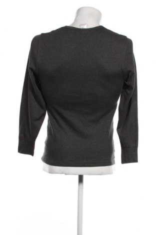 Ανδρική μπλούζα Canda, Μέγεθος M, Χρώμα Γκρί, Τιμή 6,46 €