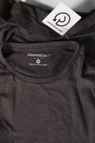 Ανδρική μπλούζα CedarWood State, Μέγεθος M, Χρώμα Γκρί, Τιμή 11,75 €