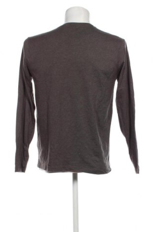 Ανδρική μπλούζα CedarWood State, Μέγεθος M, Χρώμα Γκρί, Τιμή 11,75 €