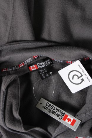 Ανδρική μπλούζα fleece Canadian Peak, Μέγεθος L, Χρώμα Γκρί, Τιμή 35,25 €